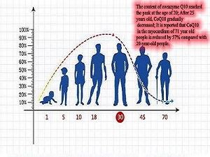 Intake curve of CoQ10
