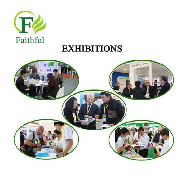 Faithful's Exhibition