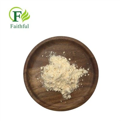 Carmustine Powder CAS 154-93-8