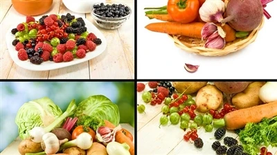 What Is Lipase? （Part One）