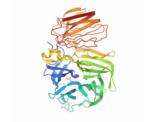 INVERTASE INVERTASE