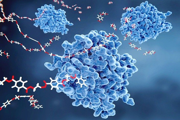 PNC-27 is a peptide that can kill cancer cells. PNC-27 is a peptide that can kill cancer cells.
