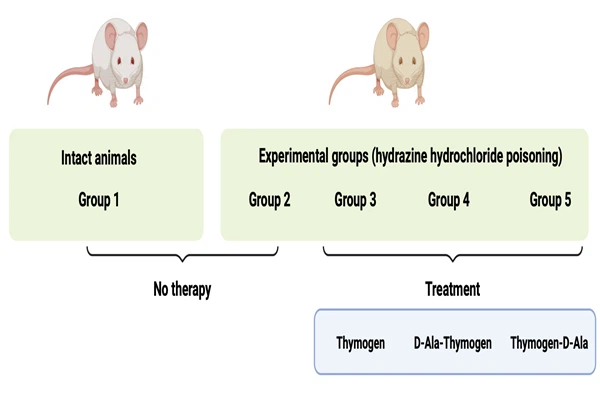 Study on the protective effect of thymosin analogues modified with D-alanine against hydrazine-induced liver injury Study on the protective effect of thymosin analogues modified with D-alanine against hydrazine-induced liver injury