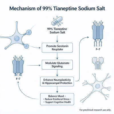 Mechanism Of 99% Tianeptine Sodium Salt Mechanism Of 99% Tianeptine Sodium Salt
