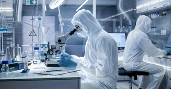 ligustilide CAS 4431-01-0 ligustilide CAS 4431-01-0