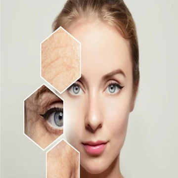 Cosmetic Powder