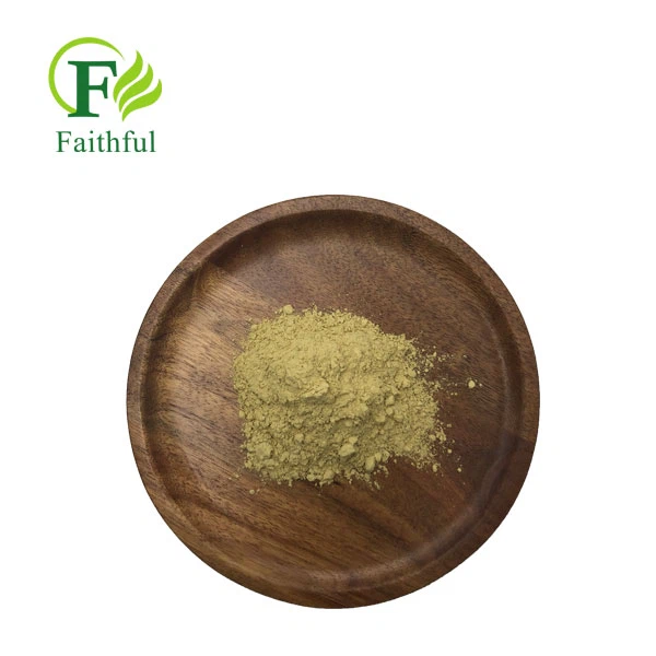 Luteolin Bulk Powder CAS 491-70-3