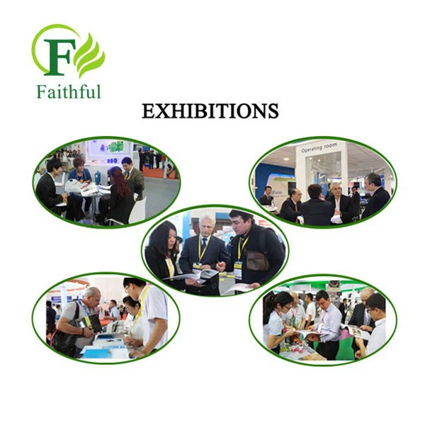 Faithful's Exhibition