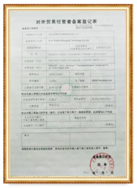 Foreign Trade Customs Registration Form Foreign Trade Customs Registration Form