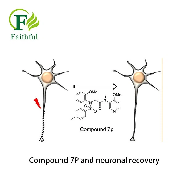 Compound 7P and neuronal recovery
