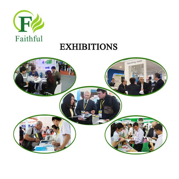 Faithful's Exhibition