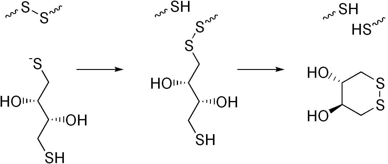Reduction of a typical disulfide bond by DTT via two sequential thiol-disulfide exchange reactions. Reduction of a typical disulfide bond by DTT via two sequential thiol-disulfide exchange reactions.