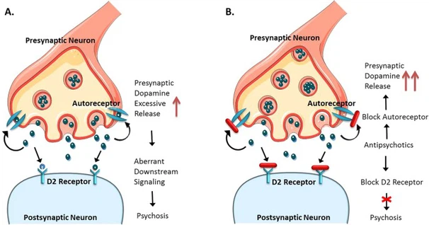 The mechanism of action of Risperidone The mechanism of action of Risperidone