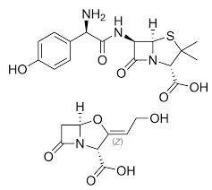 MF of Amoxiclav MF of Amoxiclav