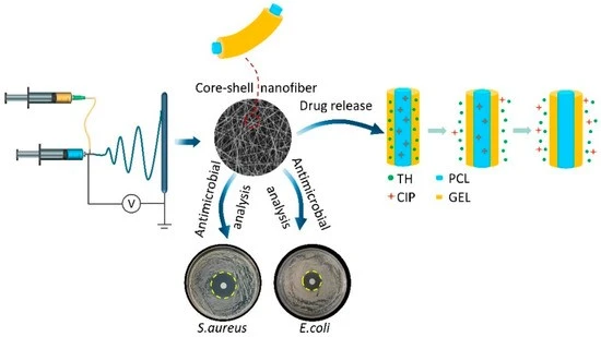 Synergistic effect of Ciprofloxacin Lactate and Tetracycline Hydrochloride in promoting wound healing Synergistic effect of Ciprofloxacin Lactate and Tetracycline Hydrochloride in promoting wound healing