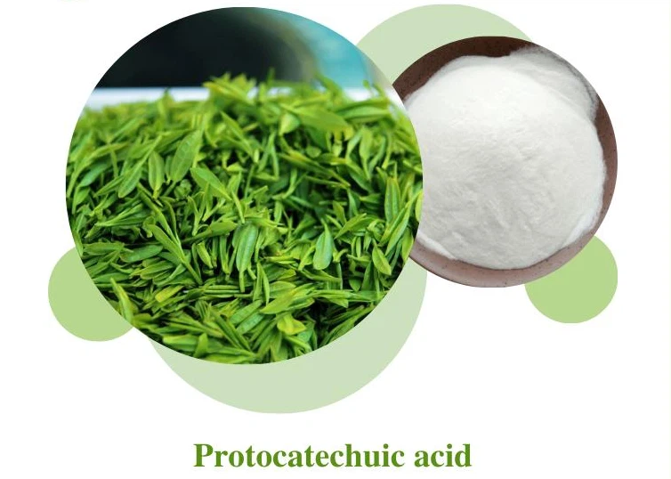 Extracting protocatechuic acid from lilac leaves Extracting protocatechuic acid from lilac leaves