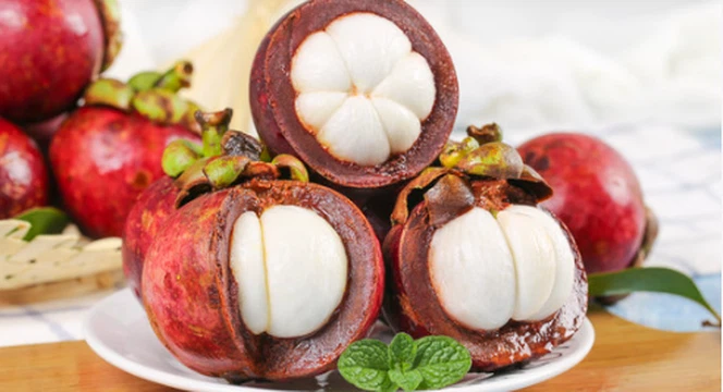Mangostin can be extracted from Garcinia mangostana L Mangostin can be extracted from Garcinia mangostana L