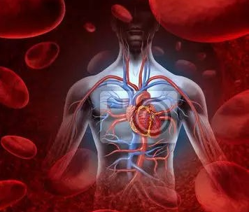 H-GLU-ASP-OH exists in the blood of Gaucher disease patients and can be used as a diagnostic indicator for the disease H-GLU-ASP-OH exists in the blood of Gaucher disease patients and can be used as a diagnostic indicator for the disease