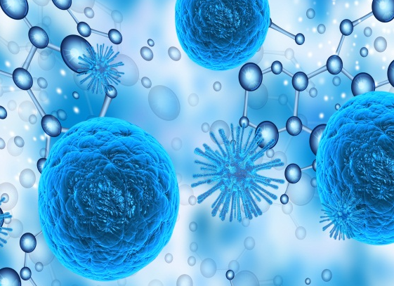 GRGDNP has broad potential applications in cell biology and disease treatment. GRGDNP has broad potential applications in cell biology and disease treatment.