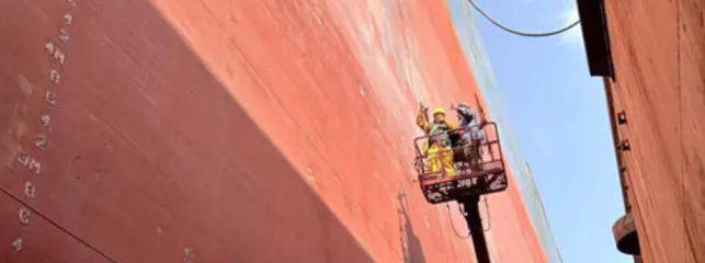 Trichloroethoxycarbonyl chloride has anti-corrosion, antibacterial, anti mold and other functions. It is an anti fouling coating in ship paint Trichloroethoxycarbonyl chloride has anti-corrosion, antibacterial, anti mold and other functions. It is an anti fouling coating in ship paint
