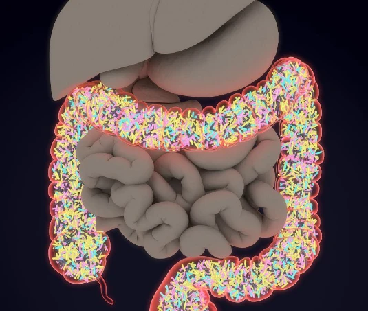 FidaxoMedicine API is used to treat diarrhea FidaxoMedicine API is used to treat diarrhea