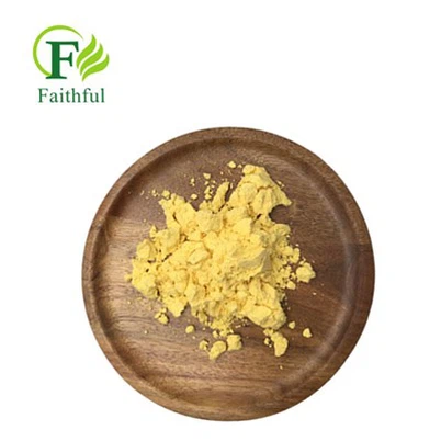 Amphotericin B Powder CAS 1397-89-3