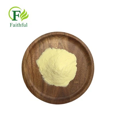 Enrofloxacin Powder CAS 93106-60-6