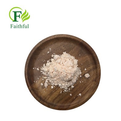 Lipase Powder CAS 9001-62-1
