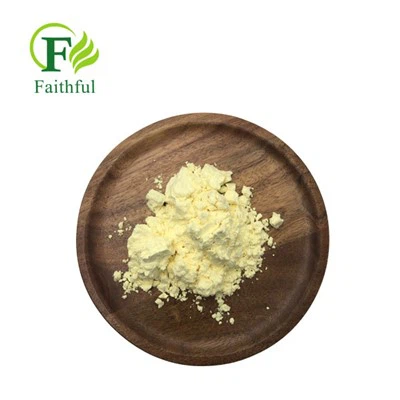 Phlorizin Weight Loss CAS 60-81-1