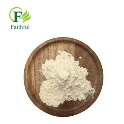 Zein Maize CAS 9010-66-6